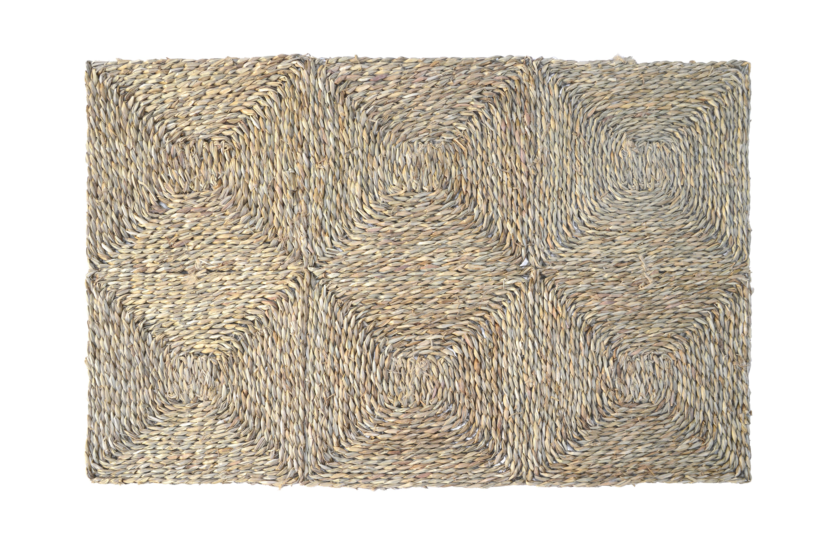 ALFOMBRA DE SEAGRASS | BIZERTA
