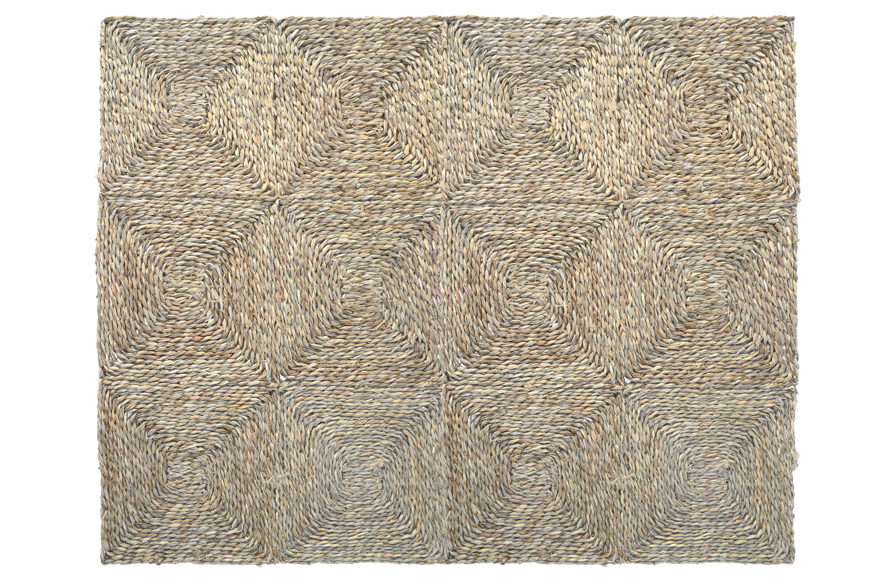 ALFOMBRA DE SEAGRASS | BIZERTA