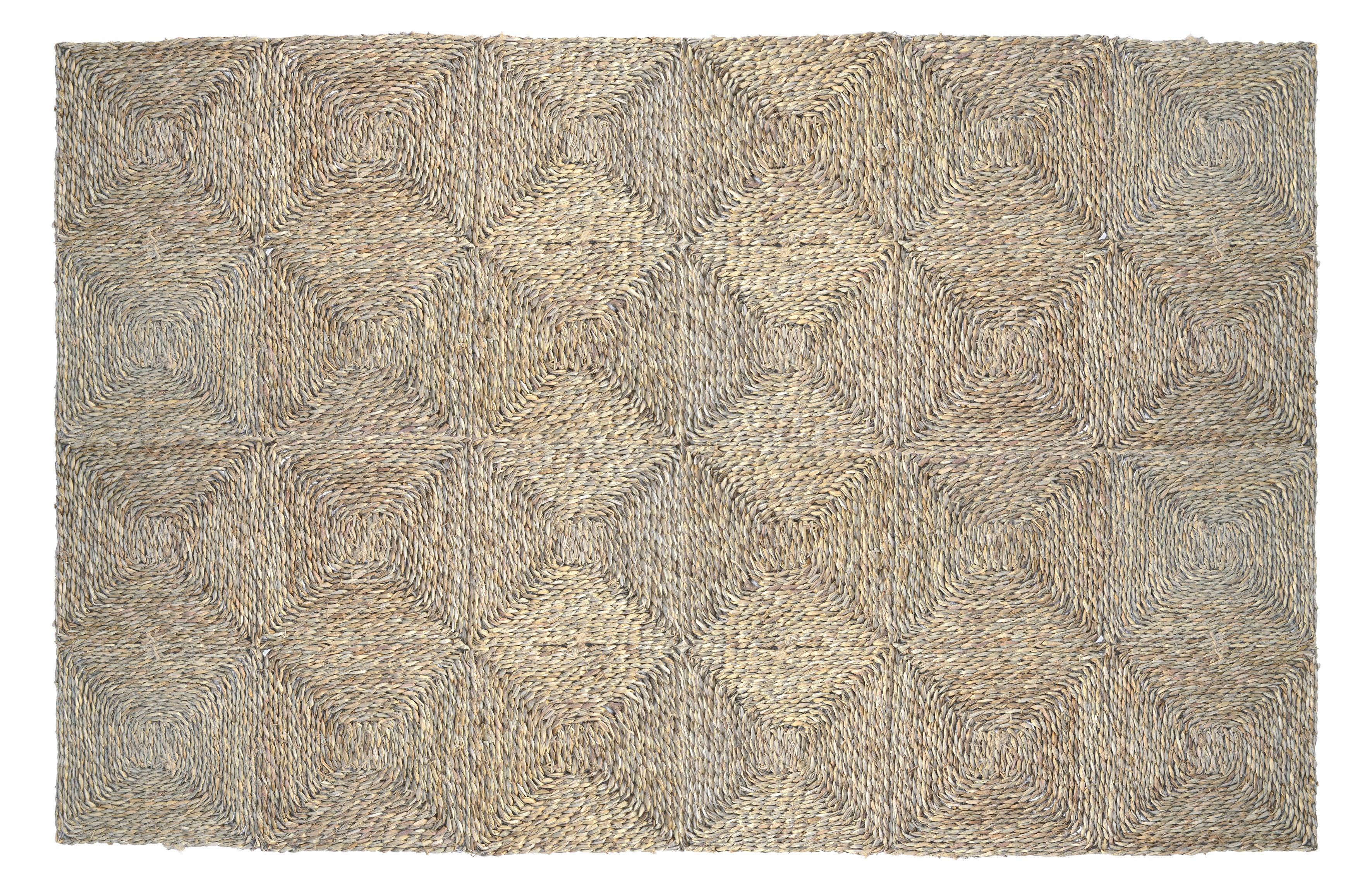 ALFOMBRA DE SEAGRASS | BIZERTA